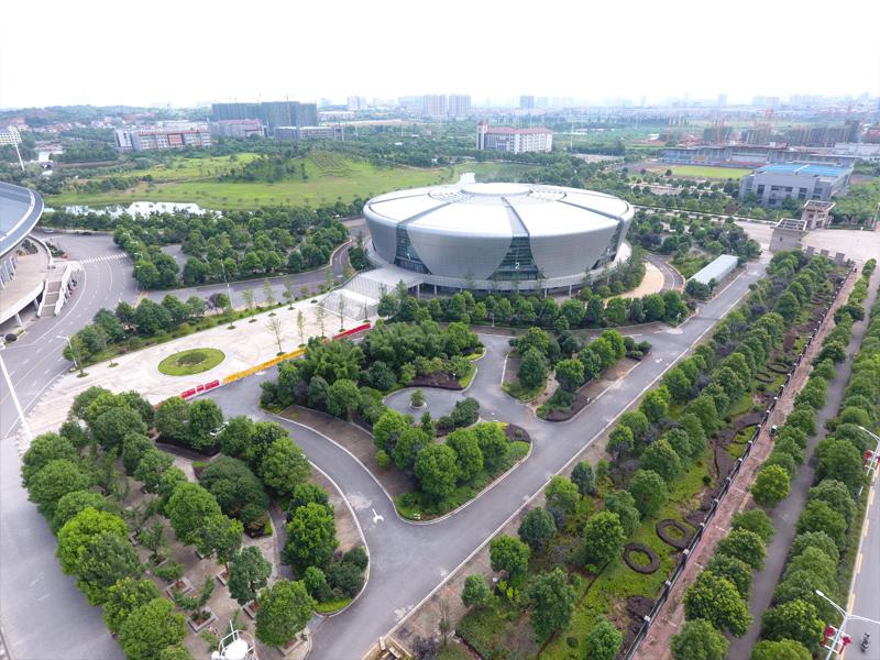 1601276815129594.jpg 005info.jpg